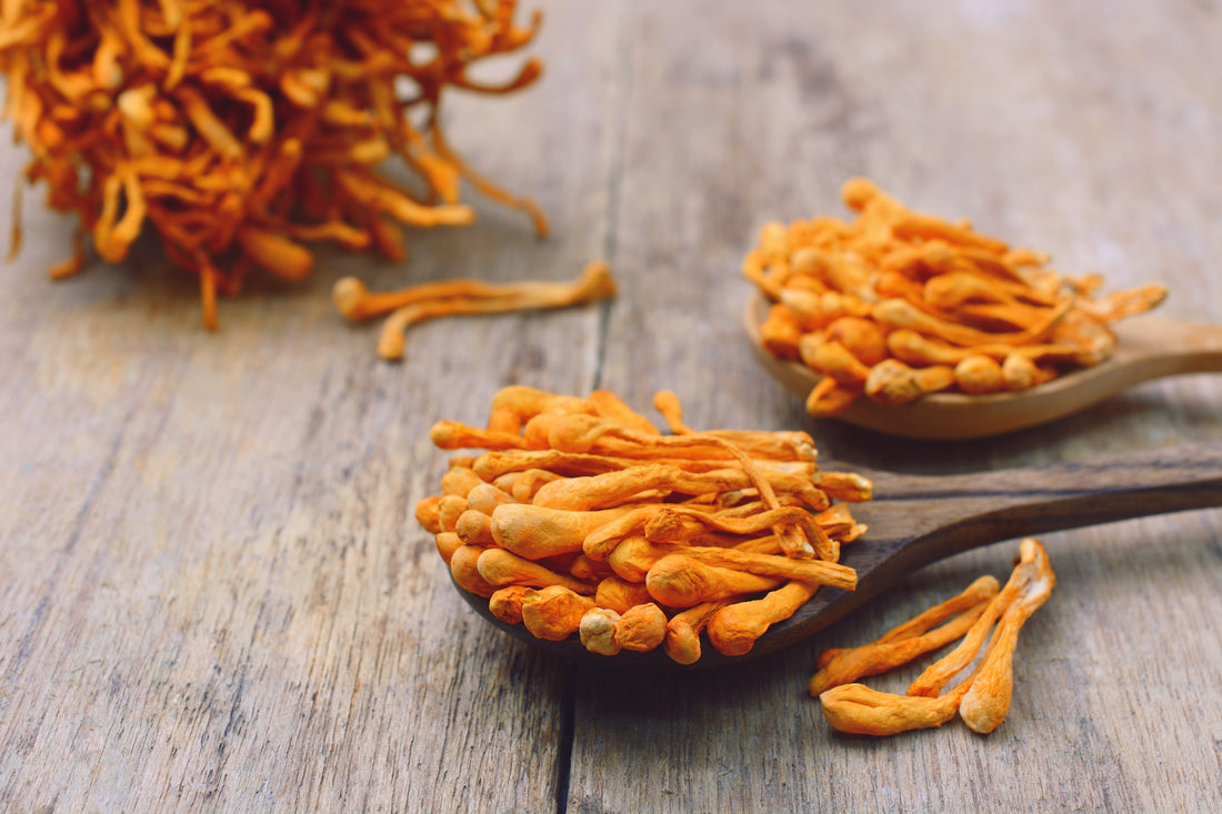 Cordyceps mushroom on wooden spoon on wooden table